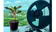 Nordic moves to recycled plastic shipping reels